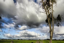 开云体育官方网站-西雅图海湾者核心球员体能管理，世俱杯冲刺关键因素