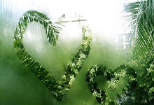 开云体育下载-制霸三秒区！72小时内线火力特训，得分如探囊取物