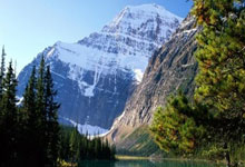 开云APP-东欧铁骑折戟夜：斯洛文尼亚欧预赛迷雾中的希望微光