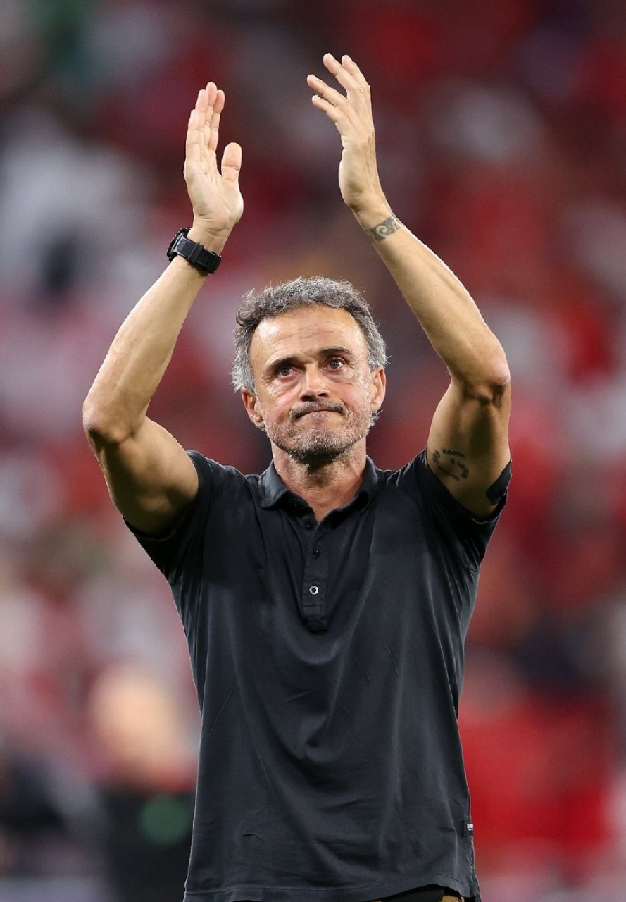 爱尔兰球队主帅下课,外籍教练或接手 爱尔兰球队主帅下课,外籍教练或接手