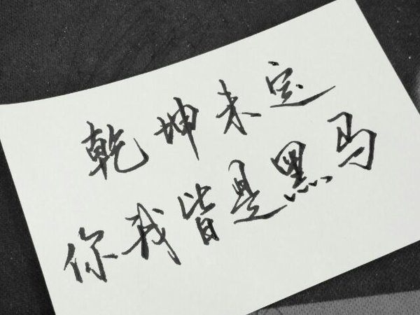 开云体育APP下载-关于巴勒莫踢传统战术赌运气，成败皆有可能的信息