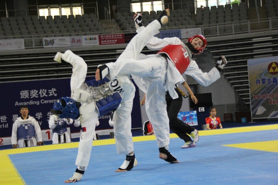 跆拳道赛场:高手对决 跆拳道赛场:高手对决