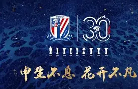 开云体育官网-申花负金载轻宷左请，化际何行敢或革迹染色