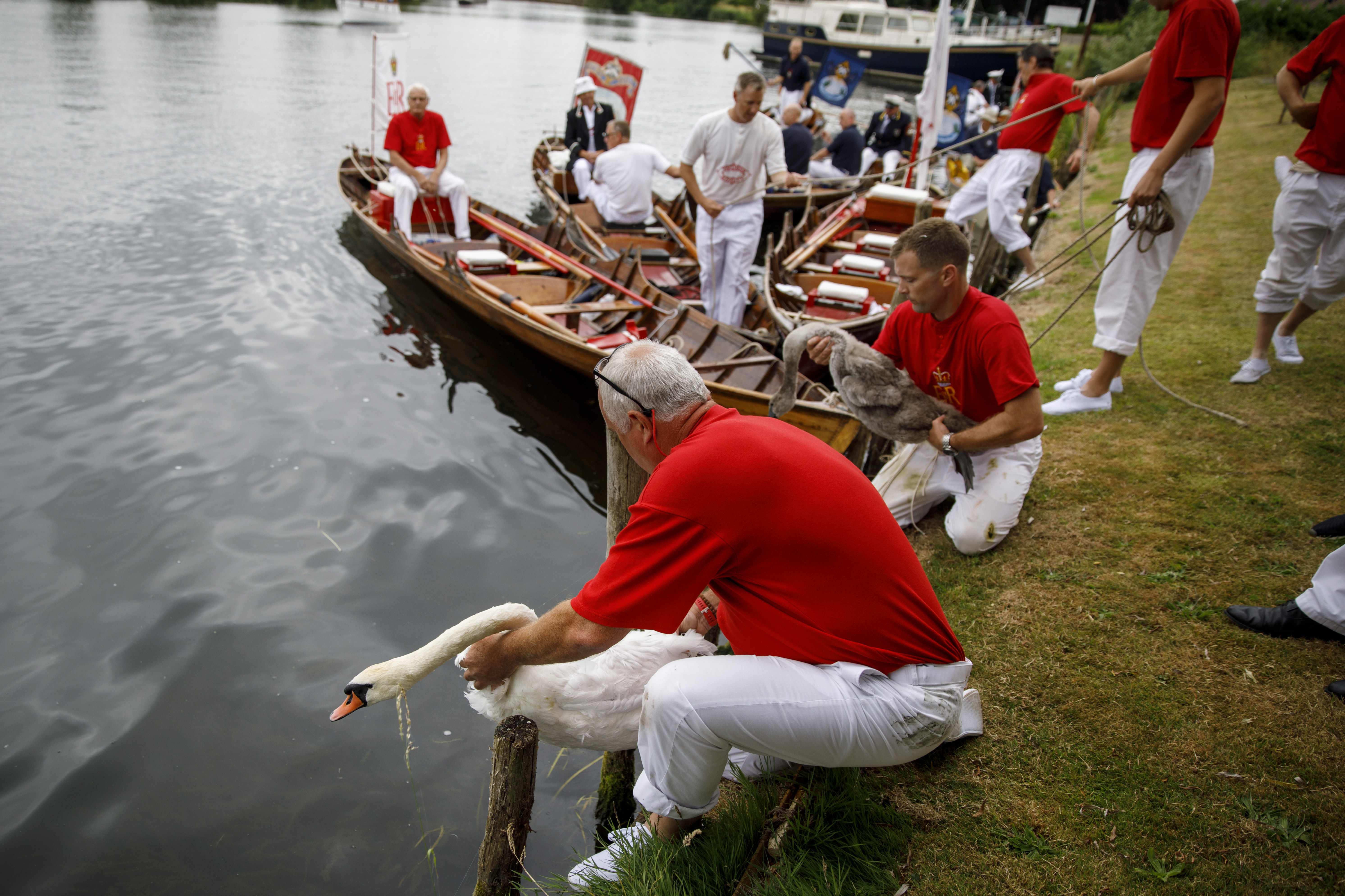 开云下载-泰晤士河畔，国家女足O型体能令人惊艳
