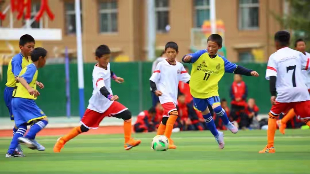 开云体育在线-绿茵场上激烈比拼令人热血沸腾的简单介绍