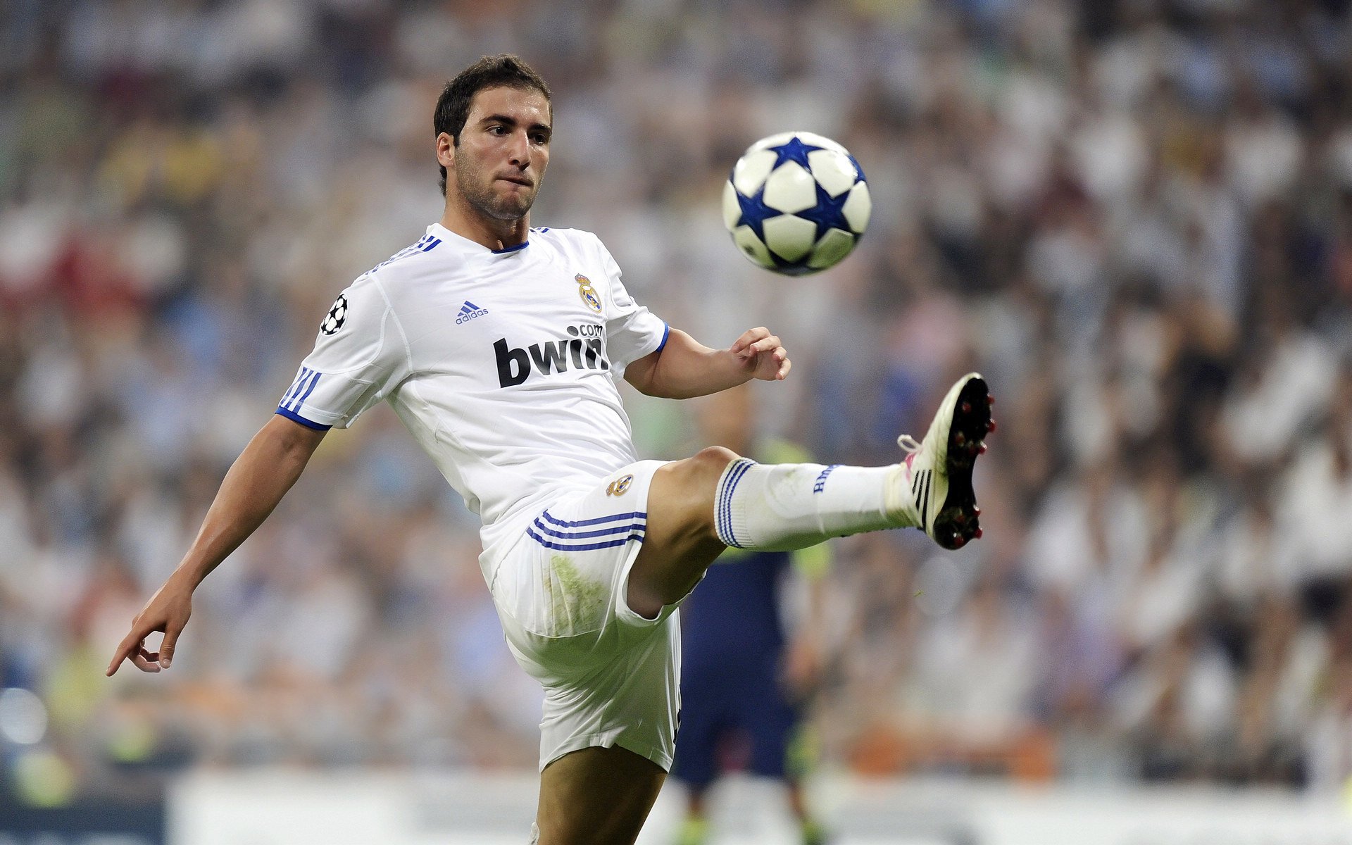 开云体育在线-平行宇宙的篮板与绿茵